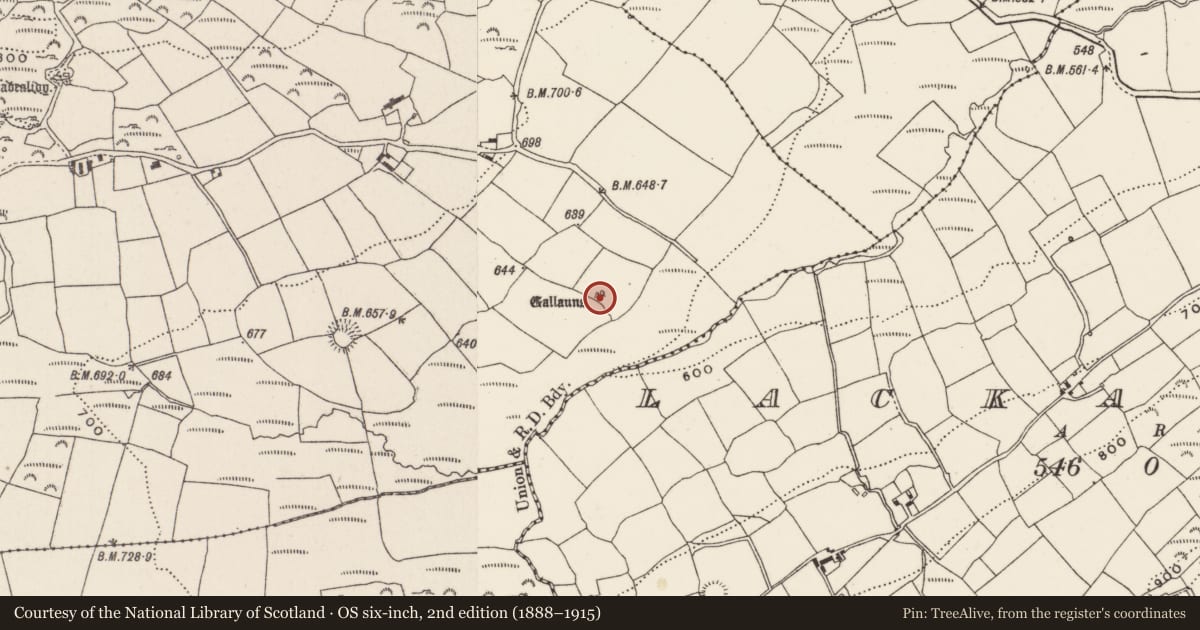 Ordnance Survey six-inch map, 2nd edition (1888–1915) covering the location of Standing stone - pair, Knockane, County Cork, with a pin at the register's coordinates