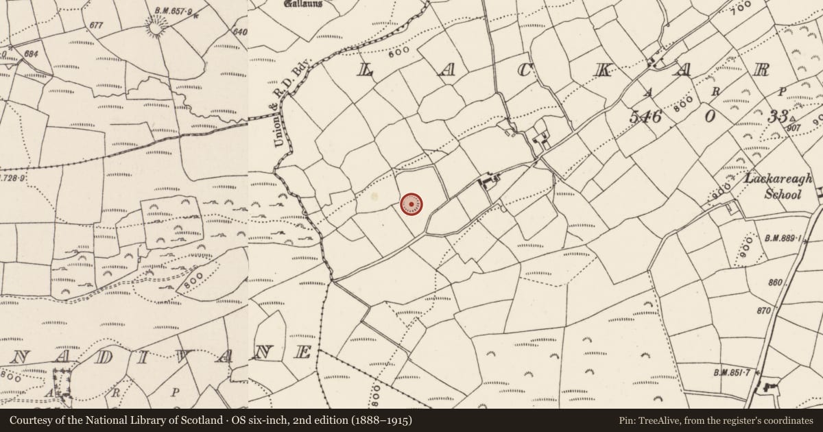 Ordnance Survey six-inch map, 2nd edition (1888–1915) covering the location of Ringfort - rath, Lackareagh, County Cork, with a pin at the register's coordinates