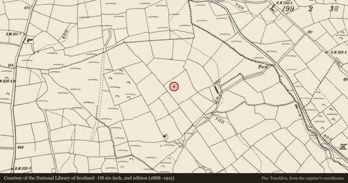 Ordnance Survey six-inch map, 2nd edition (1888–1915) covering the location of Ringfort - rath, Garranereagh, County Cork, with a pin at the register's coordinates