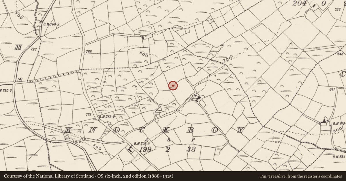 Ordnance Survey six-inch map, 2nd edition (1888–1915) covering the location of Ringfort - rath, Knockboy, County Cork, with a pin at the register's coordinates