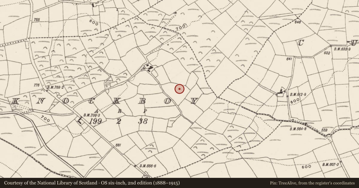 Ordnance Survey six-inch map, 2nd edition (1888–1915) covering the location of Standing stone, Knockboy, County Cork, with a pin at the register's coordinates