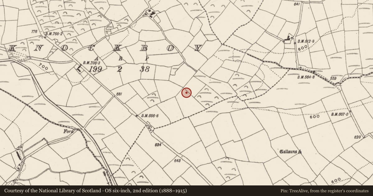 Ordnance Survey six-inch map, 2nd edition (1888–1915) covering the location of Ringfort - rath, Knockboy, County Cork, with a pin at the register's coordinates