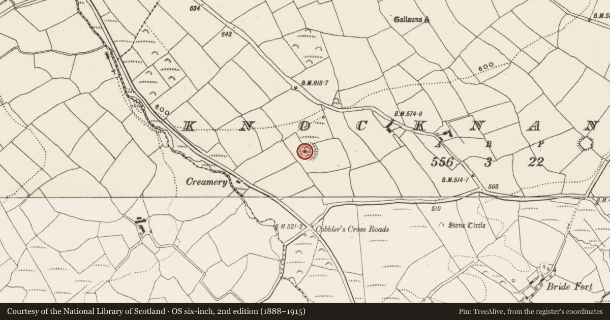Ordnance Survey six-inch map, 2nd edition (1888–1915) covering the location of Ringfort - rath, Knocknaneirk, County Cork, with a pin at the register's coordinates