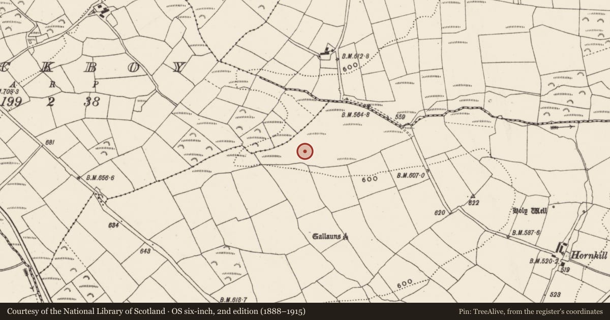 Ordnance Survey six-inch map, 2nd edition (1888–1915) covering the location of Fulacht fia, Knocknaneirk, County Cork, with a pin at the register's coordinates