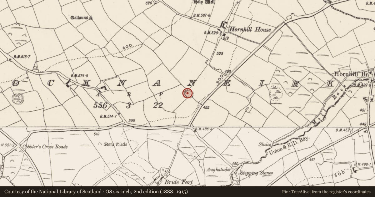 Ordnance Survey six-inch map, 2nd edition (1888–1915) covering the location of Ringfort - rath, Knocknaneirk, County Cork, with a pin at the register's coordinates