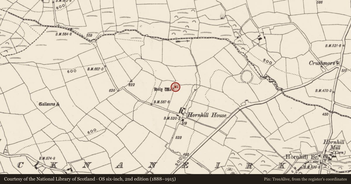 Ordnance Survey six-inch map, 2nd edition (1888–1915) covering the location of Ritual site - holy well, Knocknaneirk, County Cork, with a pin at the register's coordinates