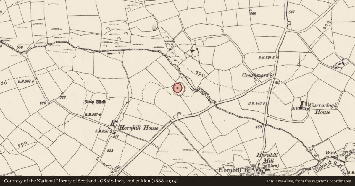 Ordnance Survey six-inch map, 2nd edition (1888–1915) covering the location of Ringfort - rath, Knocknaneirk, County Cork, with a pin at the register's coordinates