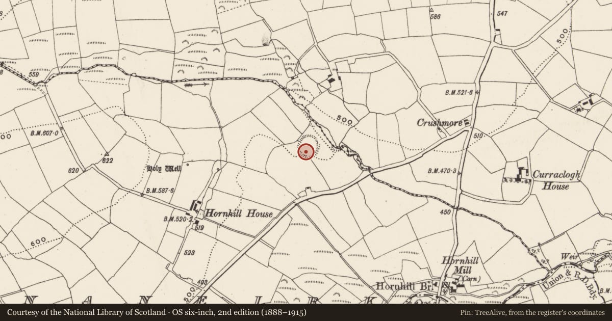 Ordnance Survey six-inch map, 2nd edition (1888–1915) covering the location of Souterrain, Knocknaneirk, County Cork, with a pin at the register's coordinates
