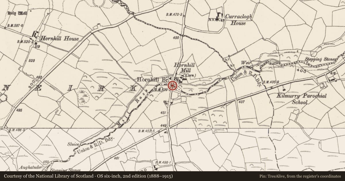 Ordnance Survey six-inch map, 2nd edition (1888–1915) covering the location of Bridge, Knocknaneirk, County Cork, with a pin at the register's coordinates