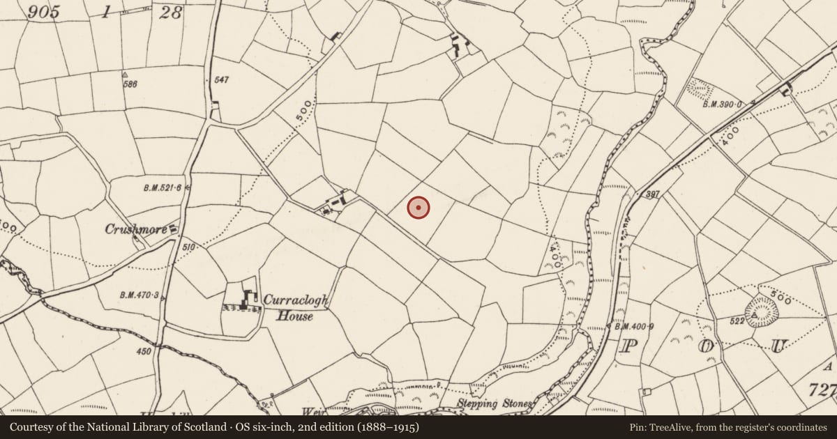 Ordnance Survey six-inch map, 2nd edition (1888–1915) covering the location of Standing stone, Curraclogh, County Cork, with a pin at the register's coordinates