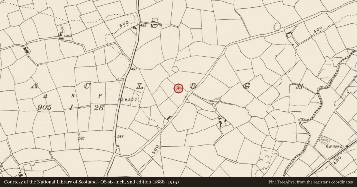 Ordnance Survey six-inch map, 2nd edition (1888–1915) covering the location of Fulacht fia, Curraclogh, County Cork, with a pin at the register's coordinates