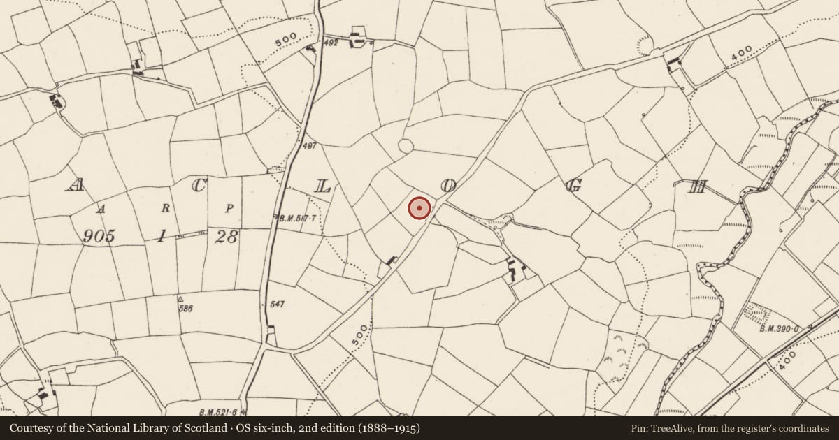Ordnance Survey six-inch map, 2nd edition (1888–1915) covering the location of Fulacht fia, Curraclogh, County Cork, with a pin at the register's coordinates