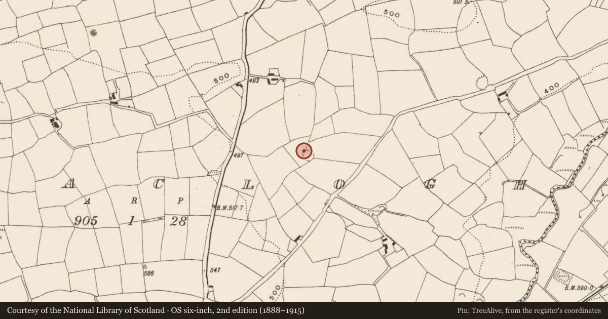 Ordnance Survey six-inch map, 2nd edition (1888–1915) covering the location of Ringfort - rath, Curraclogh, County Cork, with a pin at the register's coordinates