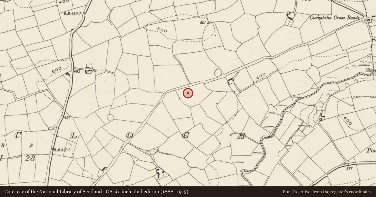 Ordnance Survey six-inch map, 2nd edition (1888–1915) covering the location of Fulacht fia, Curraclogh, County Cork, with a pin at the register's coordinates