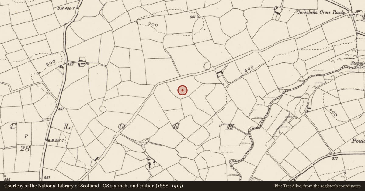 Ordnance Survey six-inch map, 2nd edition (1888–1915) covering the location of Fulacht fia, Curraclogh, County Cork, with a pin at the register's coordinates