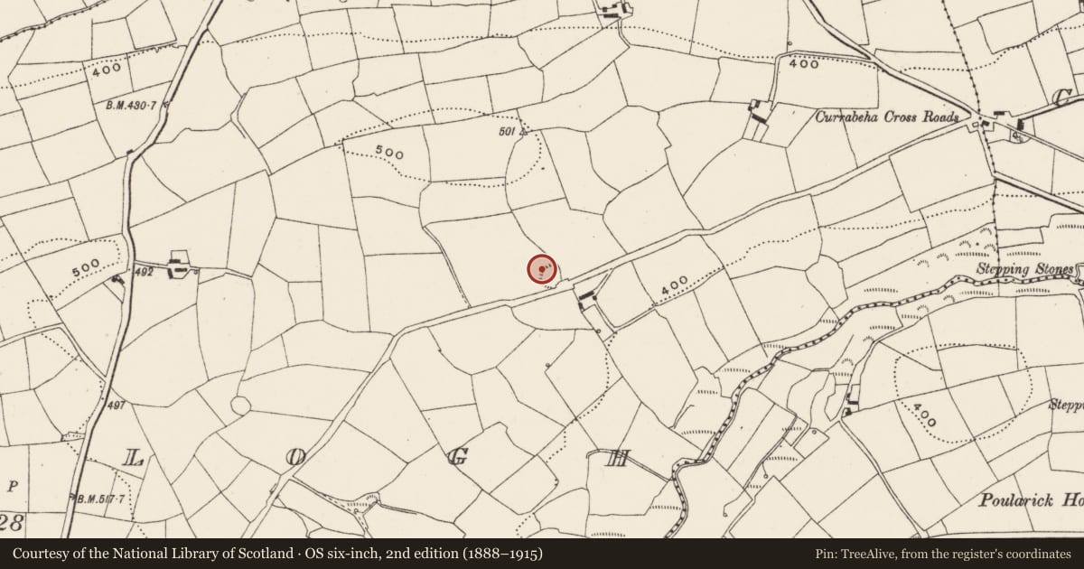 Ordnance Survey six-inch map, 2nd edition (1888–1915) covering the location of Ringfort - rath, Curraclogh, County Cork, with a pin at the register's coordinates