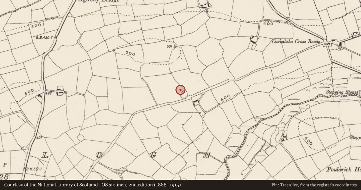 Ordnance Survey six-inch map, 2nd edition (1888–1915) covering the location of Souterrain, Curraclogh, County Cork, with a pin at the register's coordinates