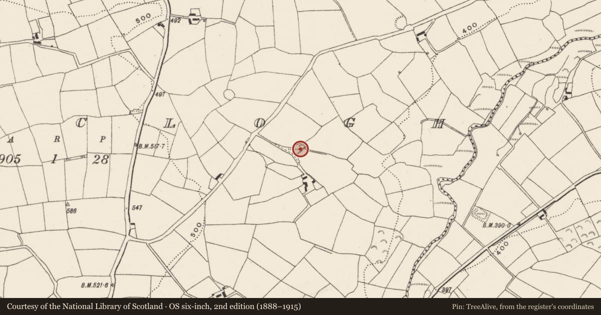 Ordnance Survey six-inch map, 2nd edition (1888–1915) covering the location of Fulacht fia, Curraclogh, County Cork, with a pin at the register's coordinates