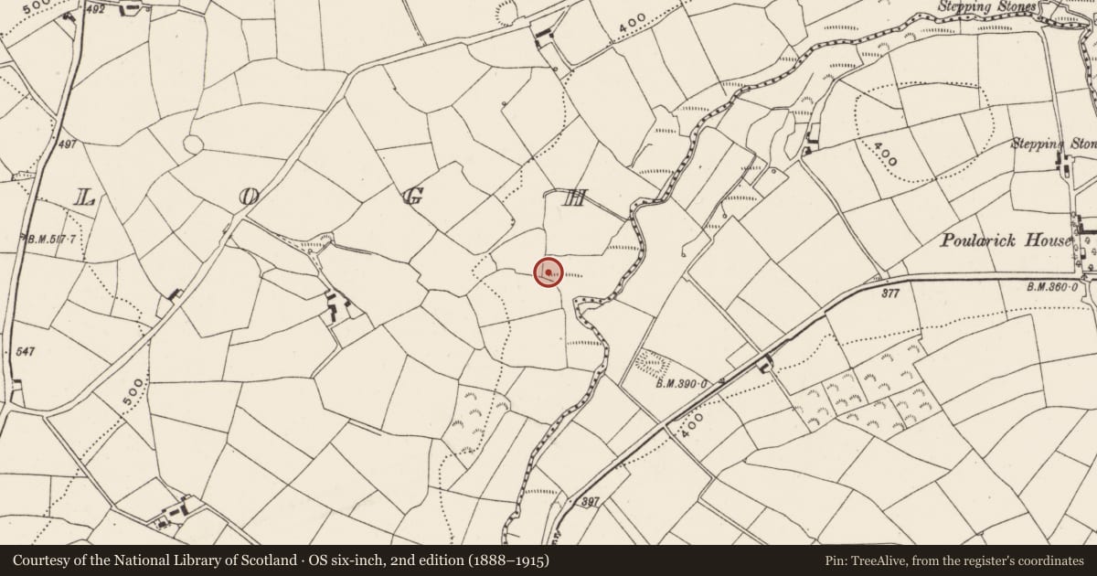 Ordnance Survey six-inch map, 2nd edition (1888–1915) covering the location of Fulacht fia, Curraclogh, County Cork, with a pin at the register's coordinates