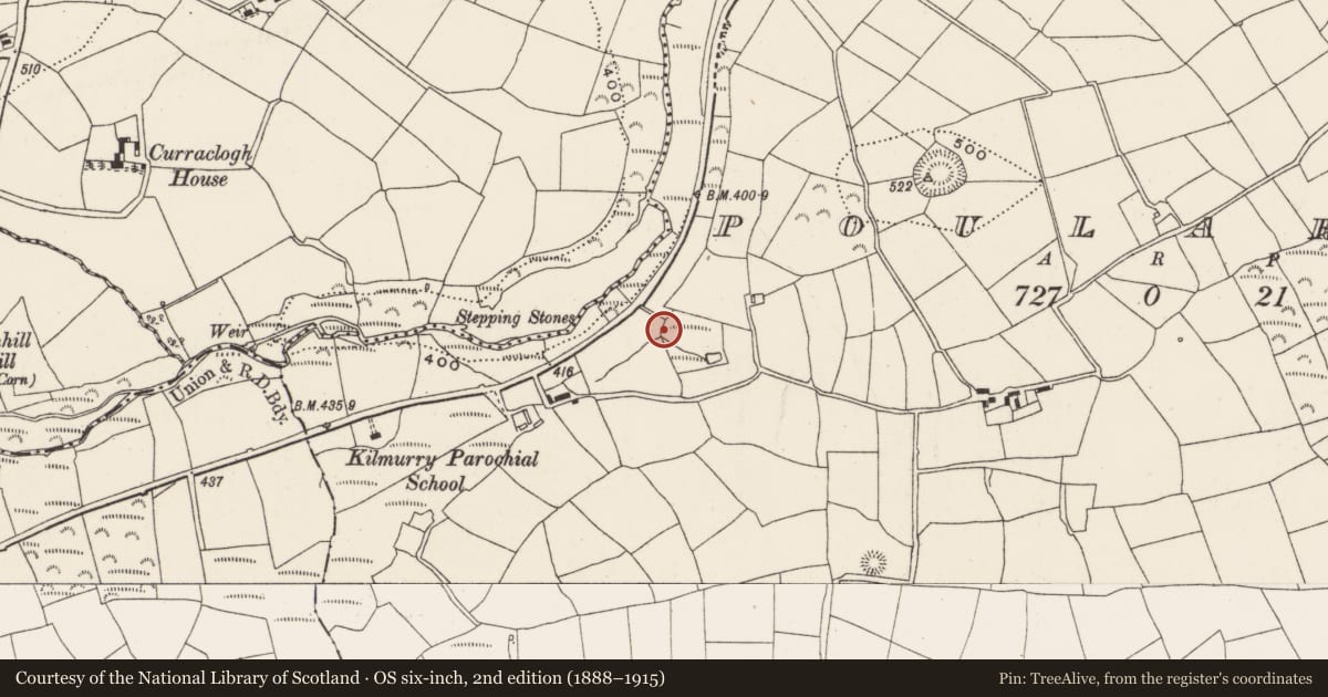 Ordnance Survey six-inch map, 2nd edition (1888–1915) covering the location of Fulacht fia, Poularick, County Cork, with a pin at the register's coordinates