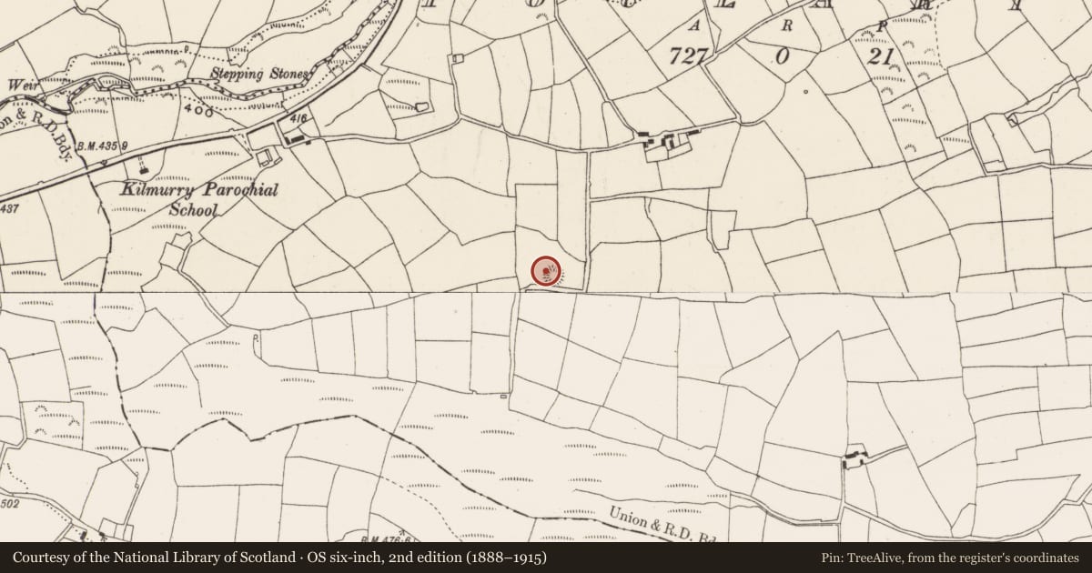 Ordnance Survey six-inch map, 2nd edition (1888–1915) covering the location of Ringfort - rath, Poularick, County Cork, with a pin at the register's coordinates