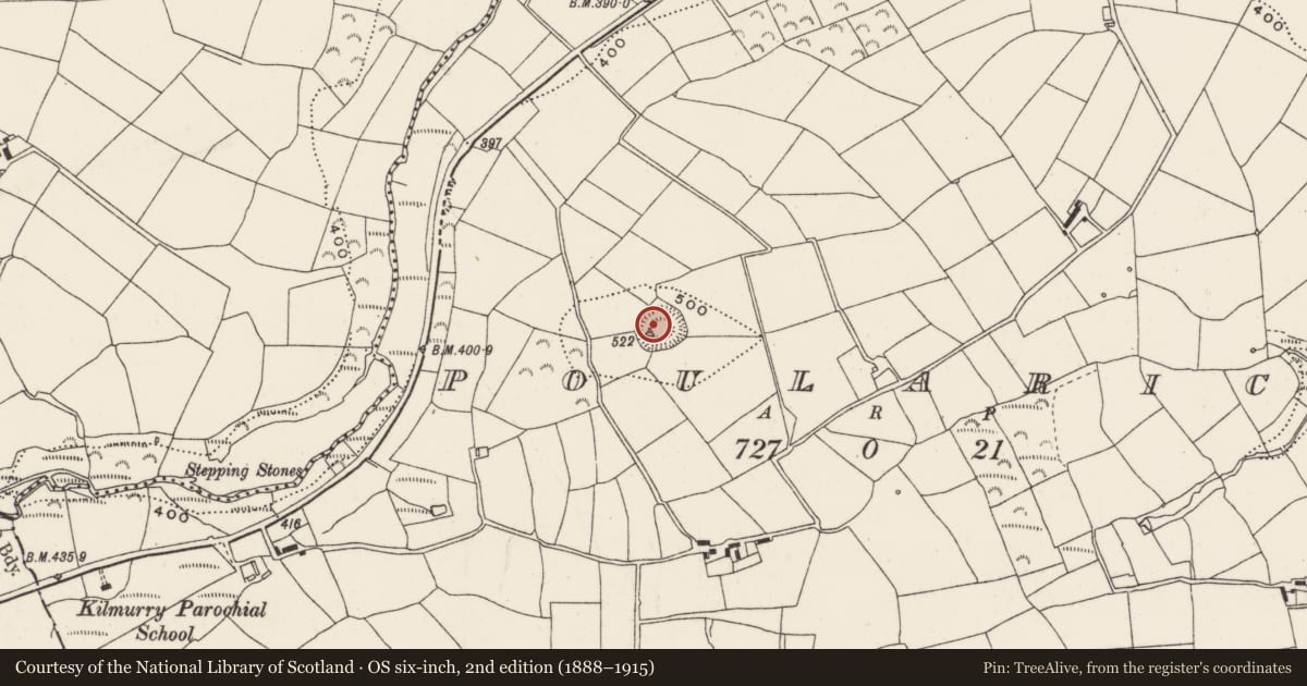 Ordnance Survey six-inch map, 2nd edition (1888–1915) covering the location of Ringfort - rath, Poularick, County Cork, with a pin at the register's coordinates
