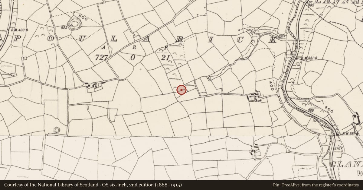 Ordnance Survey six-inch map, 2nd edition (1888–1915) covering the location of Fulacht fia, Poularick, County Cork, with a pin at the register's coordinates