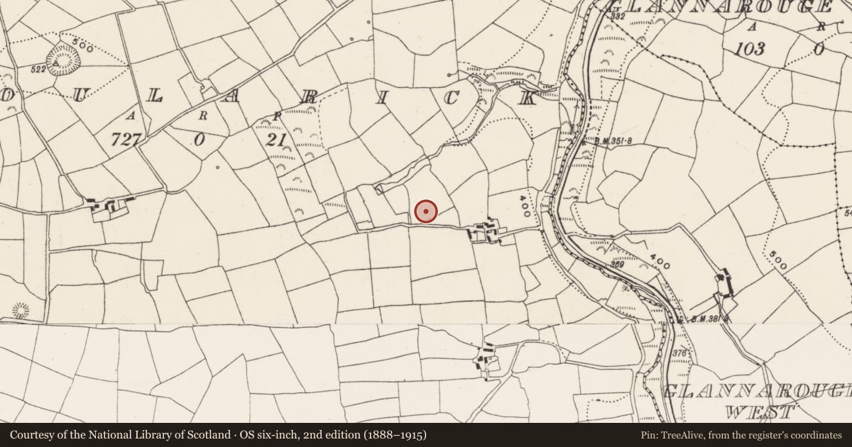 Ordnance Survey six-inch map, 2nd edition (1888–1915) covering the location of Standing stone, Poularick, County Cork, with a pin at the register's coordinates