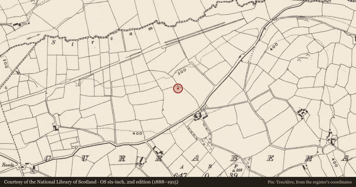Ordnance Survey six-inch map, 2nd edition (1888–1915) covering the location of Ringfort - rath, Currabeha, County Cork, with a pin at the register's coordinates