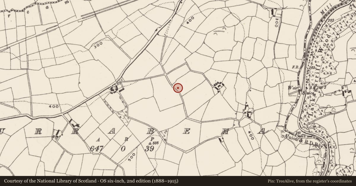 Ordnance Survey six-inch map, 2nd edition (1888–1915) covering the location of Ringfort - rath, Currabeha, County Cork, with a pin at the register's coordinates