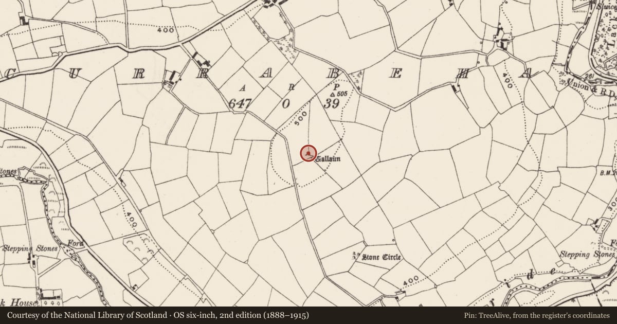 Ordnance Survey six-inch map, 2nd edition (1888–1915) covering the location of Stone circle - multiple-stone, Currabeha, County Cork, with a pin at the register's coordinates