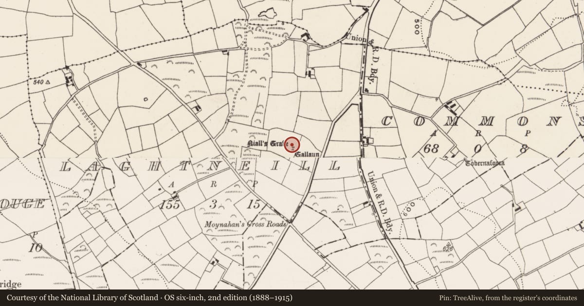 Ordnance Survey six-inch map, 2nd edition (1888–1915) covering the location of Megalithic tomb - wedge tomb, Laghtneill, County Cork, with a pin at the register's coordinates