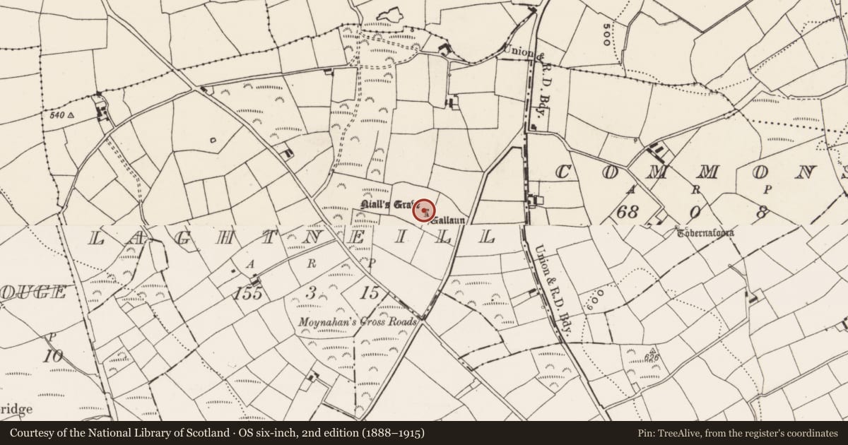 Ordnance Survey six-inch map, 2nd edition (1888–1915) covering the location of Standing stone, Laghtneill, County Cork, with a pin at the register's coordinates