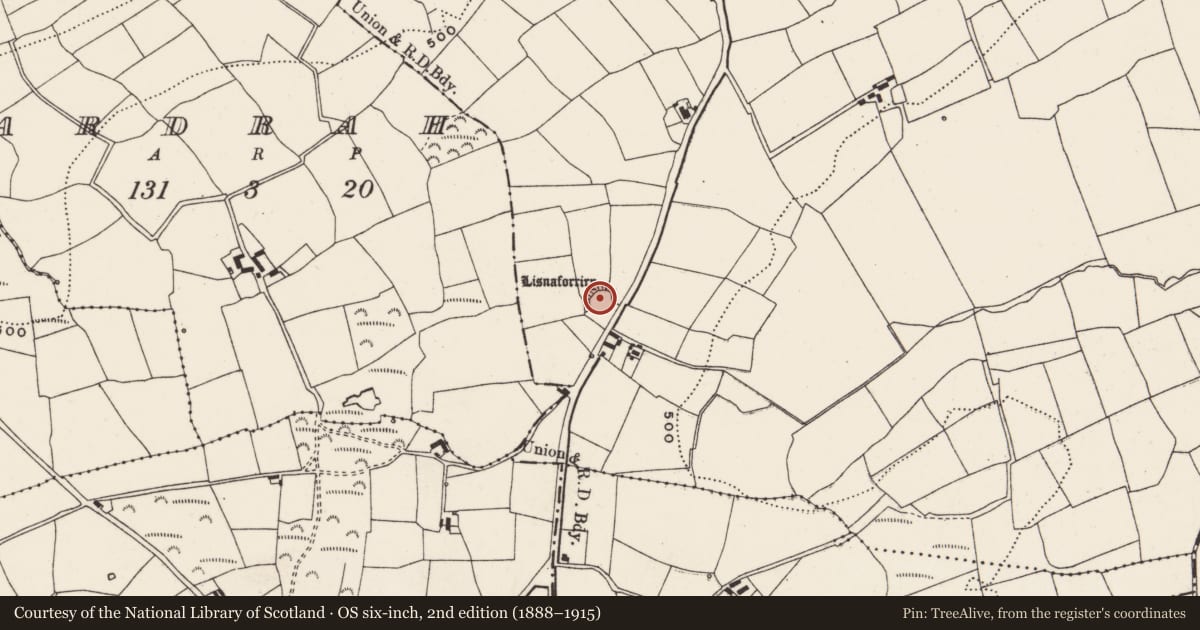 Ordnance Survey six-inch map, 2nd edition (1888–1915) covering the location of Ringfort - rath, Bellmount Upper, County Cork, with a pin at the register's coordinates