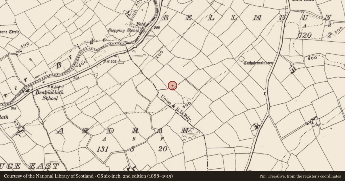 Ordnance Survey six-inch map, 2nd edition (1888–1915) covering the location of Fulacht fia, Bellmount Upper, County Cork, with a pin at the register's coordinates