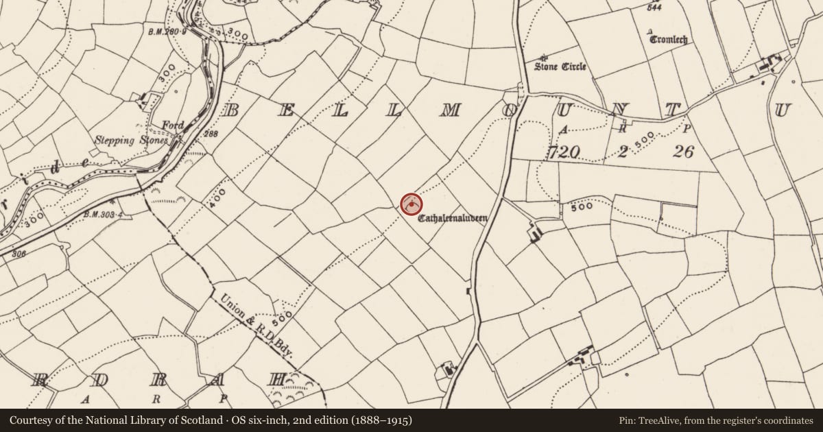 Ordnance Survey six-inch map, 2nd edition (1888–1915) covering the location of Ringfort - rath, Bellmount Upper, County Cork, with a pin at the register's coordinates