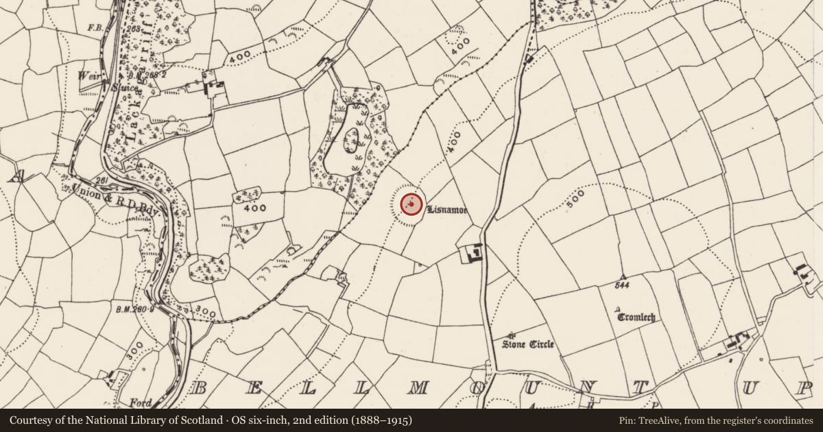 Ordnance Survey six-inch map, 2nd edition (1888–1915) covering the location of Ringfort - rath, Bellmount Upper, County Cork, with a pin at the register's coordinates
