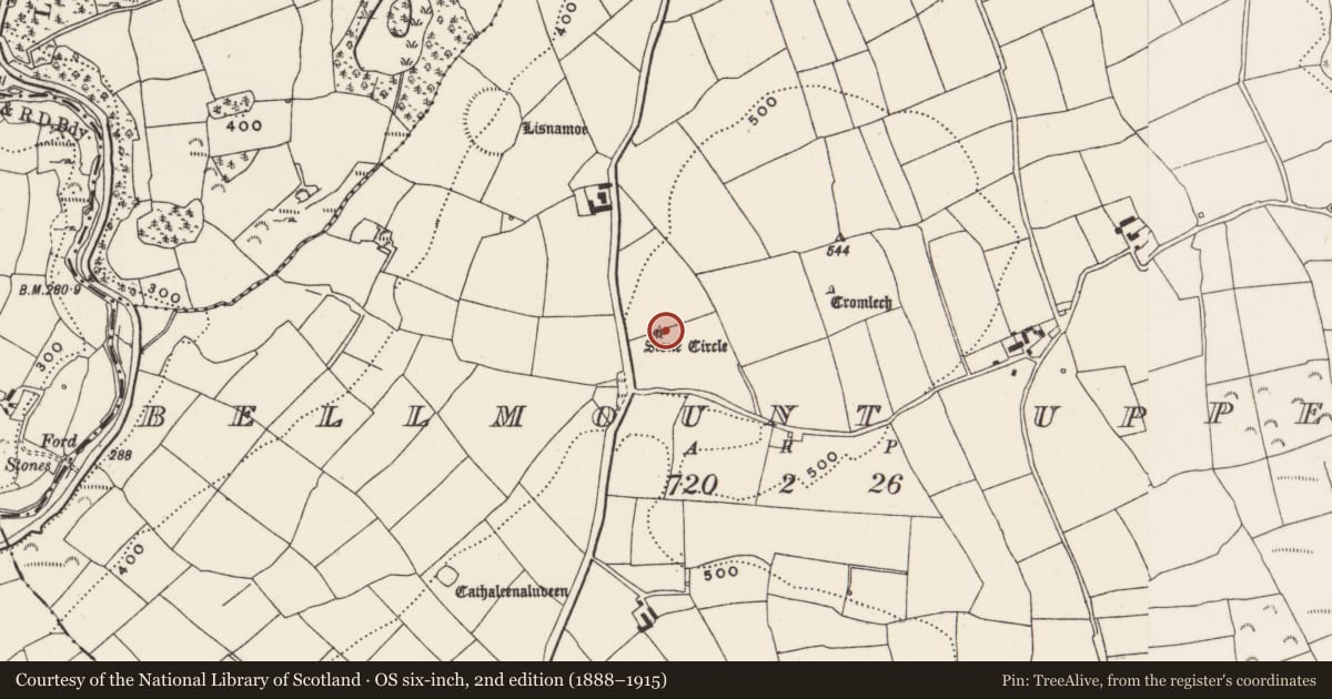 Ordnance Survey six-inch map, 2nd edition (1888–1915) covering the location of Stone circle - five-stone, Bellmount Upper, County Cork, with a pin at the register's coordinates