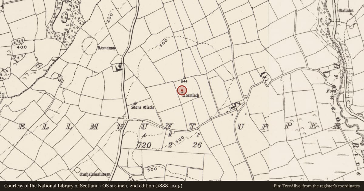 Ordnance Survey six-inch map, 2nd edition (1888–1915) covering the location of Stone circle - five-stone, Bellmount Upper, County Cork, with a pin at the register's coordinates