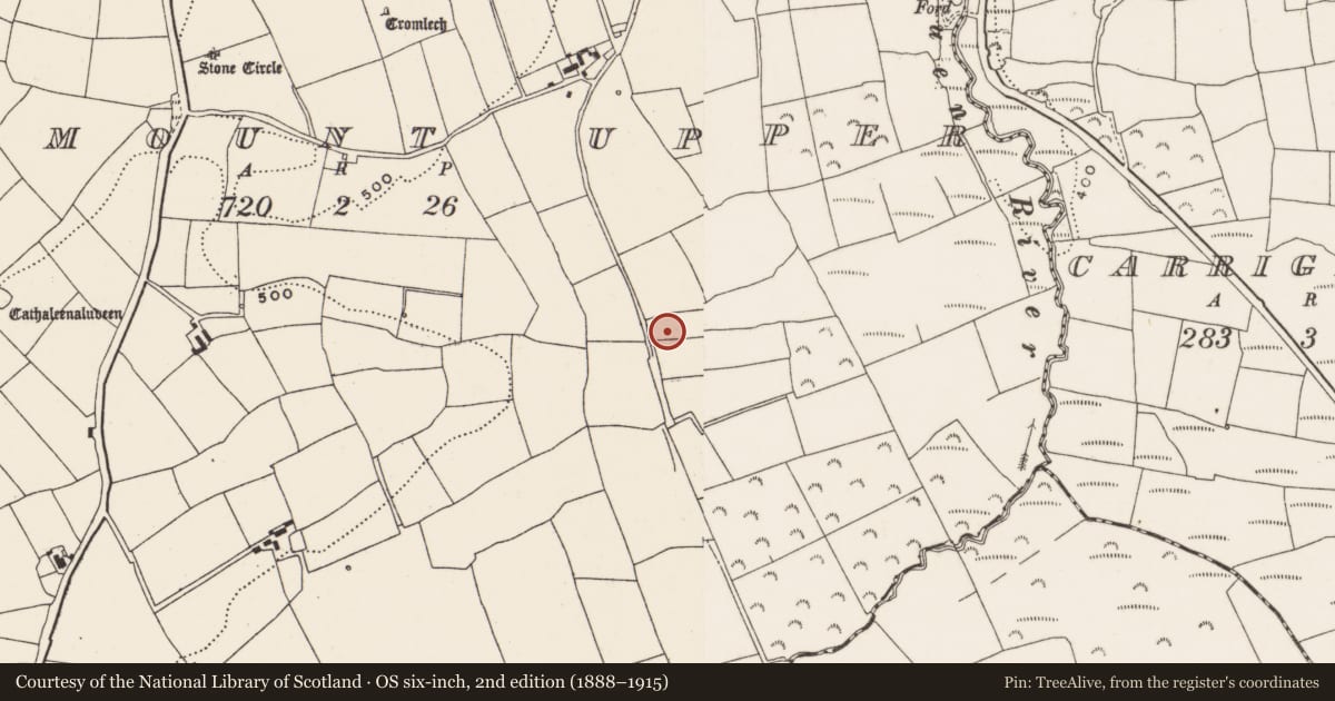 Ordnance Survey six-inch map, 2nd edition (1888–1915) covering the location of Fulacht fia, Bellmount Upper, County Cork, with a pin at the register's coordinates