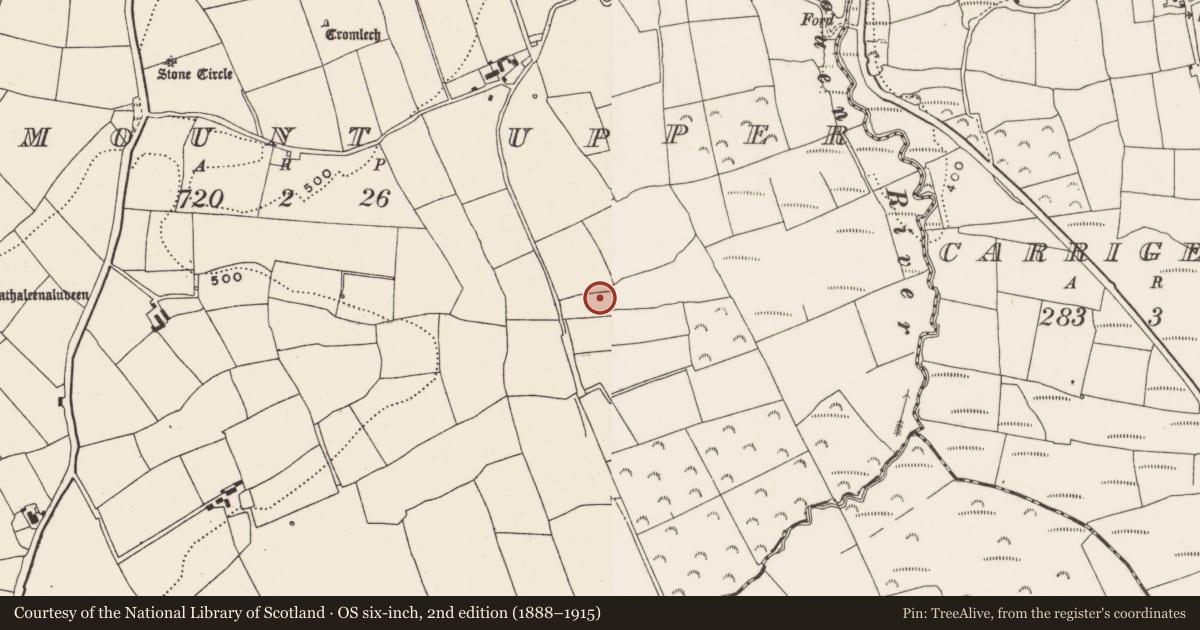 Ordnance Survey six-inch map, 2nd edition (1888–1915) covering the location of Fulacht fia, Bellmount Upper, County Cork, with a pin at the register's coordinates