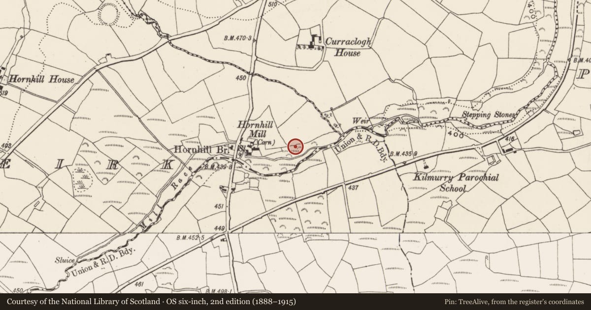 Ordnance Survey six-inch map, 2nd edition (1888–1915) covering the location of Mill - fulling, Knocknaneirk, County Cork, with a pin at the register's coordinates