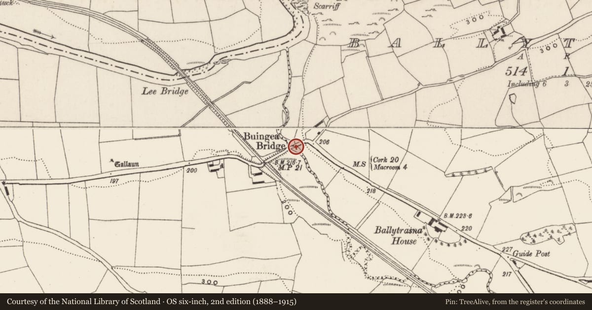 Ordnance Survey six-inch map, 2nd edition (1888–1915) covering the location of Bridge, Dunisky, County Cork, with a pin at the register's coordinates