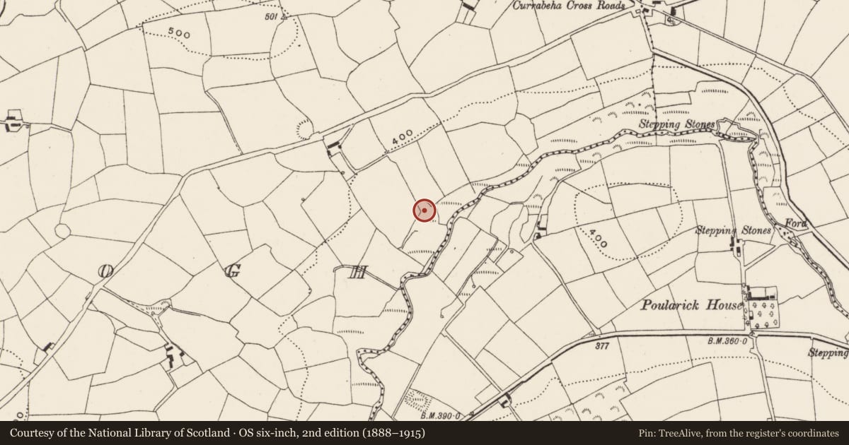 Ordnance Survey six-inch map, 2nd edition (1888–1915) covering the location of Mill - fulling, Curraclogh, County Cork, with a pin at the register's coordinates