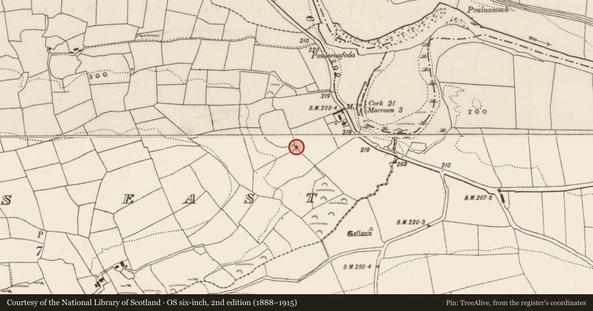 Ordnance Survey six-inch map, 2nd edition (1888–1915) covering the location of Fulacht fia, Tooms East, County Cork, with a pin at the register's coordinates