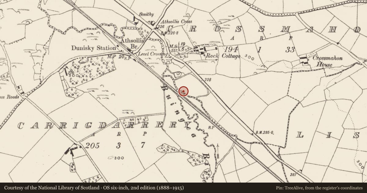 Ordnance Survey six-inch map, 2nd edition (1888–1915) covering the location of Fulacht fia, Crossmahon, County Cork, with a pin at the register's coordinates