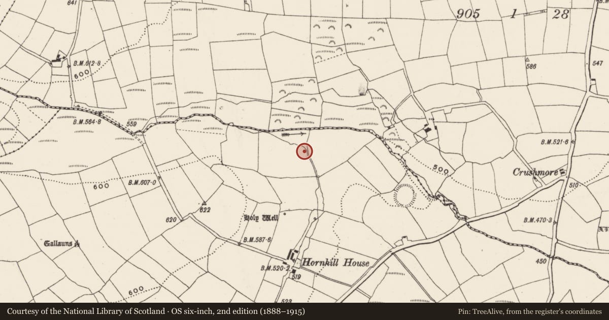 Ordnance Survey six-inch map, 2nd edition (1888–1915) covering the location of Souterrain, Knocknaneirk, County Cork, with a pin at the register's coordinates