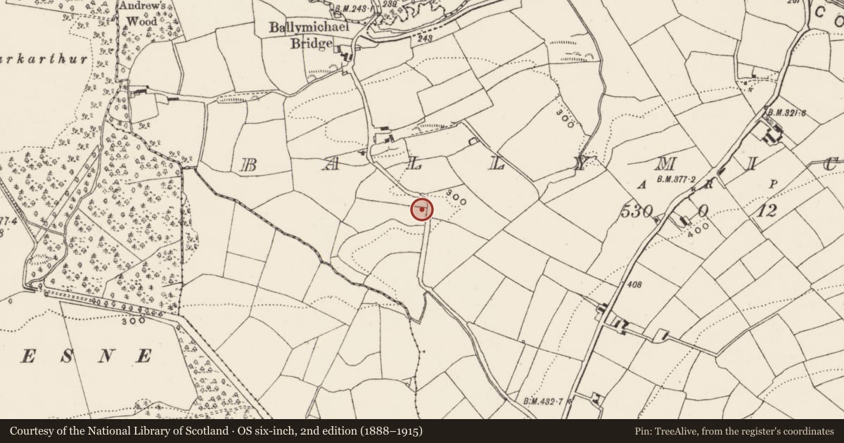 Ordnance Survey six-inch map, 2nd edition (1888–1915) covering the location of Souterrain, Ballymichael, County Cork, with a pin at the register's coordinates