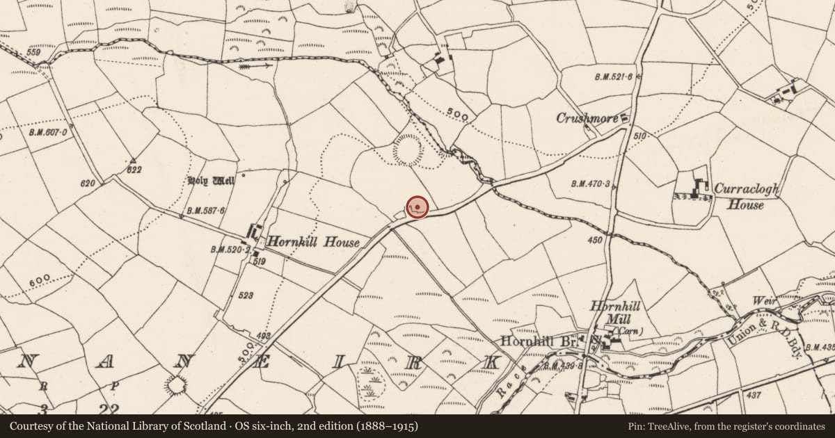 Ordnance Survey six-inch map, 2nd edition (1888–1915) covering the location of Souterrain, Knocknaneirk, County Cork, with a pin at the register's coordinates