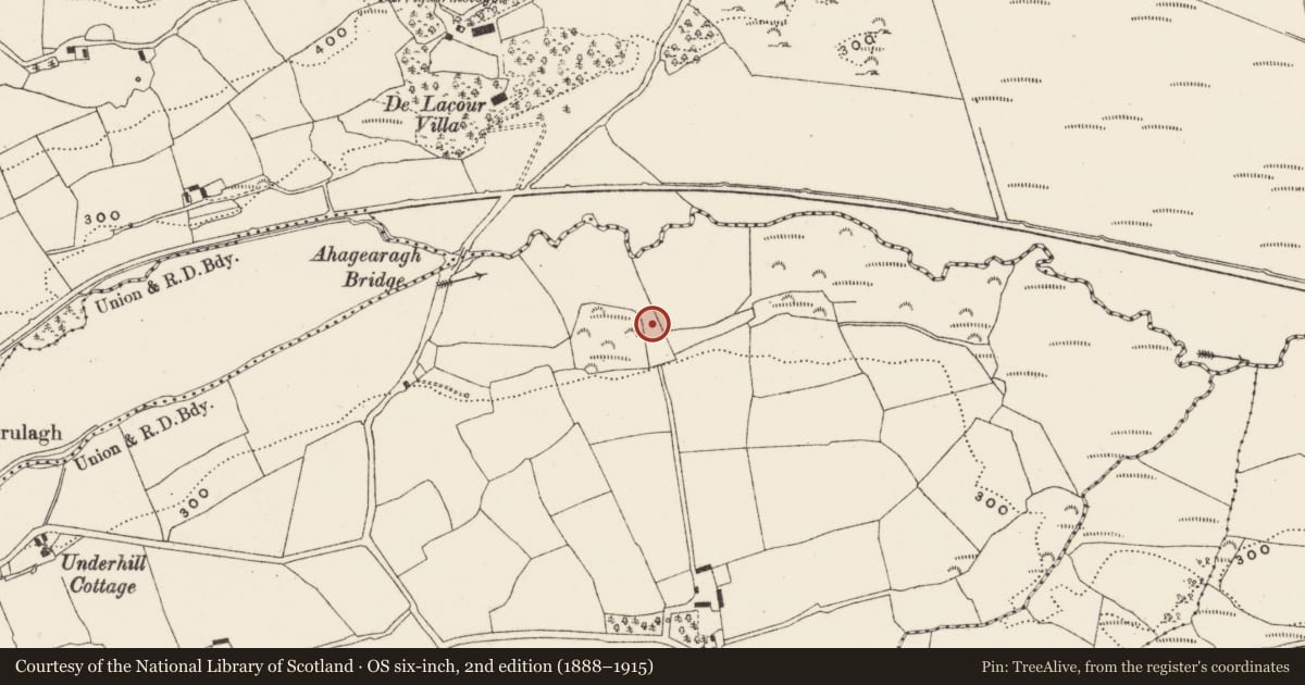 Ordnance Survey six-inch map, 2nd edition (1888–1915) covering the location of Earthwork, Teereeven, County Cork, with a pin at the register's coordinates